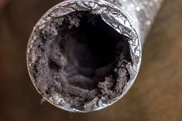 Best HVAC Duct Inspection Services  in La Fayette, AL