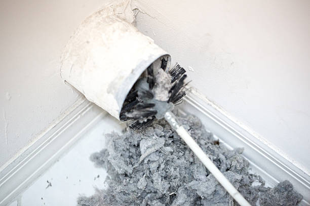Best Affordable HVAC Duct Cleaning  in La Fayette, AL